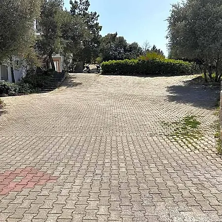 Pinky Bodrum Ξενοδοχείο Gümbet