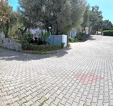Pinky Bodrum グムベット